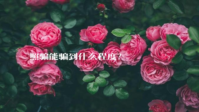 照骗能骗到什么程度?