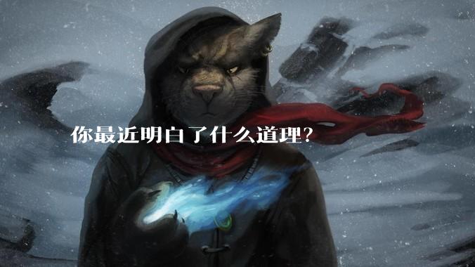 你最近明白了什么道理?