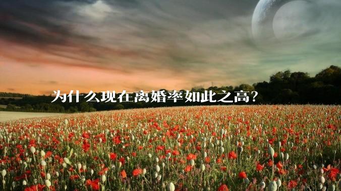 为什么现在离婚率如此之高?
