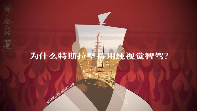 为什么特斯拉坚持用纯视觉智驾?
