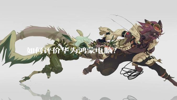 如何评价华为鸿蒙电脑?