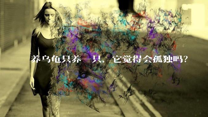 养乌龟只养一只,它觉得会孤独吗?