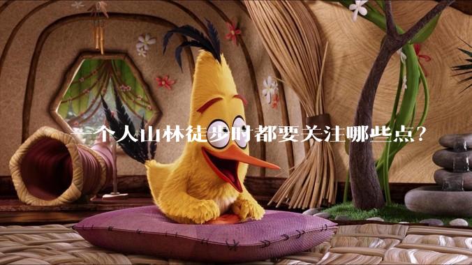 一个人山林徒步时都要关注哪些点?