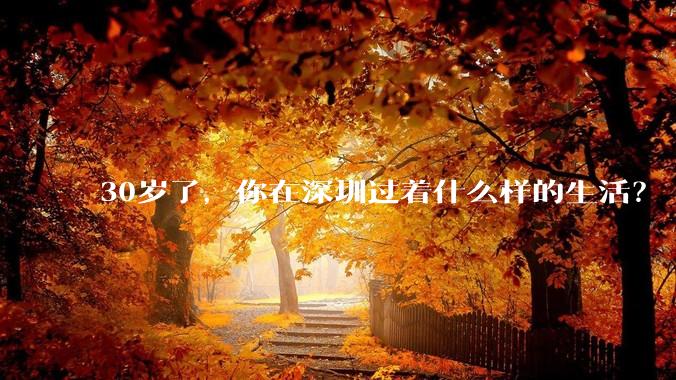 30岁了,你在深圳过着什么样的生活?