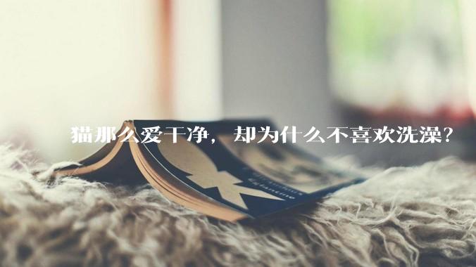 猫那么爱干净,却为什么不喜欢洗澡?
