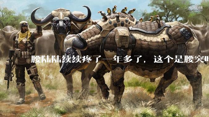 腰陆陆续续疼了一年多了,这个是腰突吗?