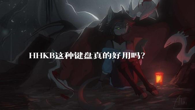 HHKB这种键盘真的好用吗?