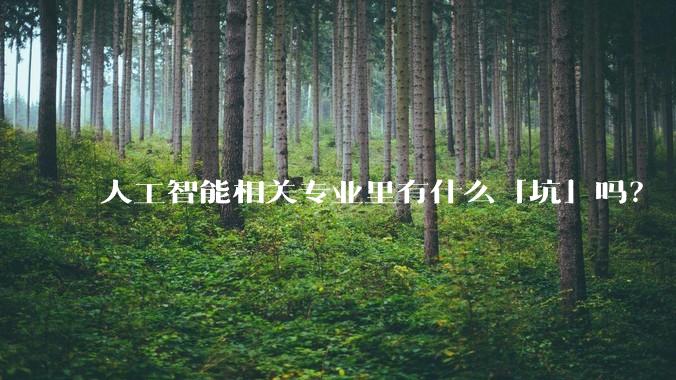 人工智能相关专业里有什么「坑」吗?