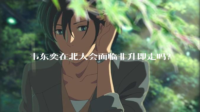 韦东奕在北大会面临非升即走吗?