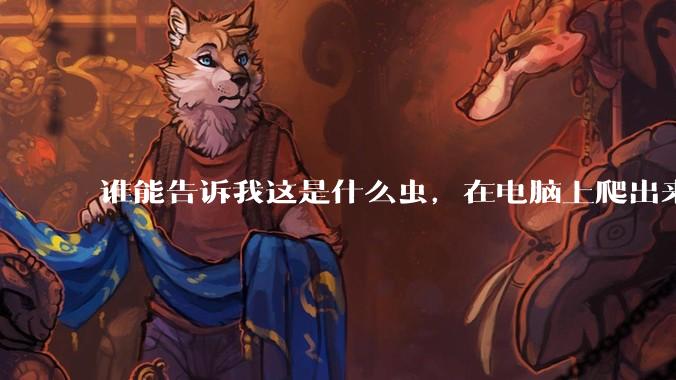 谁能告诉我这是什么虫,在电脑上爬出来吓死我了 ?