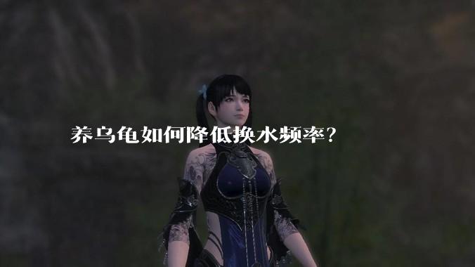 养乌龟如何降低换水频率?