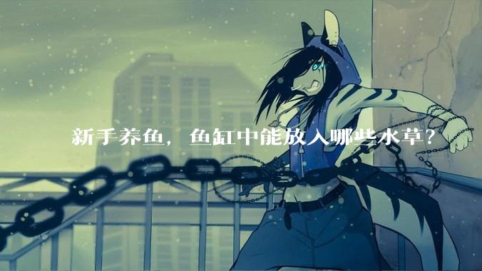 新手养鱼,鱼缸中能放入哪些水草?