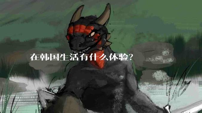 在韩国生活有什么体验?