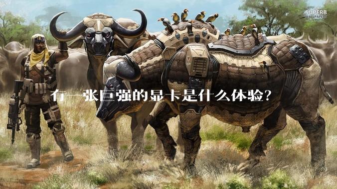 有一张巨强的显卡是什么体验?