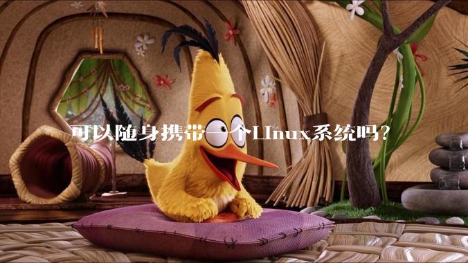 可以随身携带一个Linux系统吗?