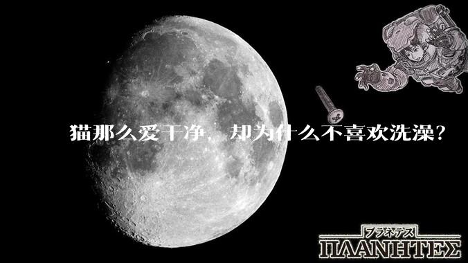 猫那么爱干净,却为什么不喜欢洗澡?
