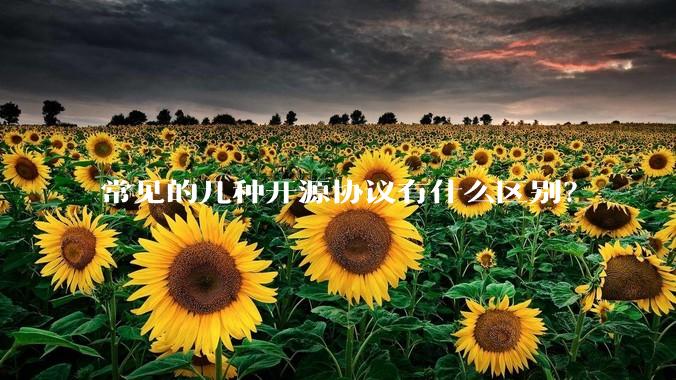 常见的几种开源协议有什么区别?
